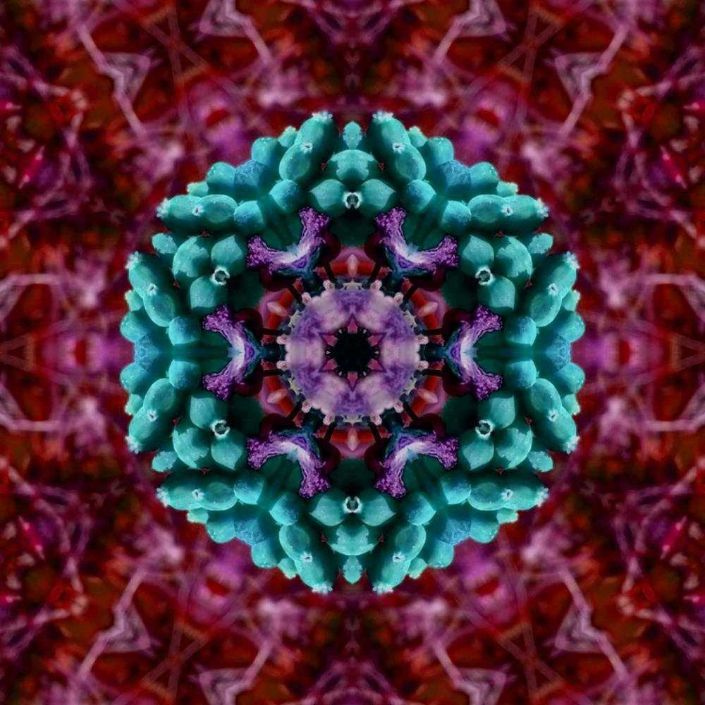 Beeren Mandala