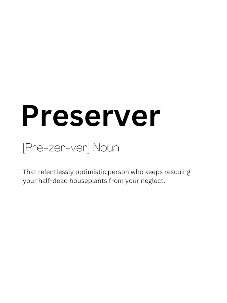 Preserver Definition Meaning