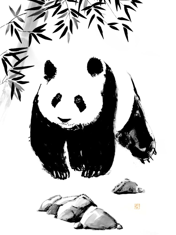 Panda Walking in bamboo forest
