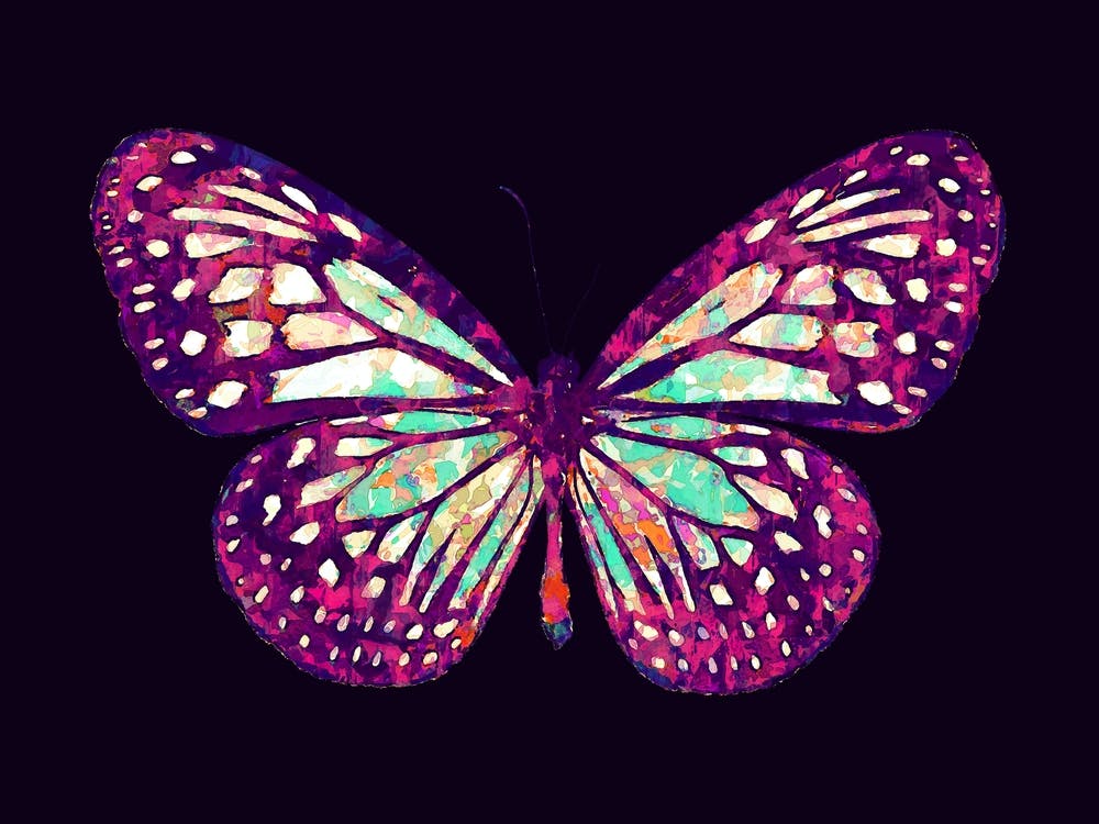 Butterfly in Colorful Digital Painting v2