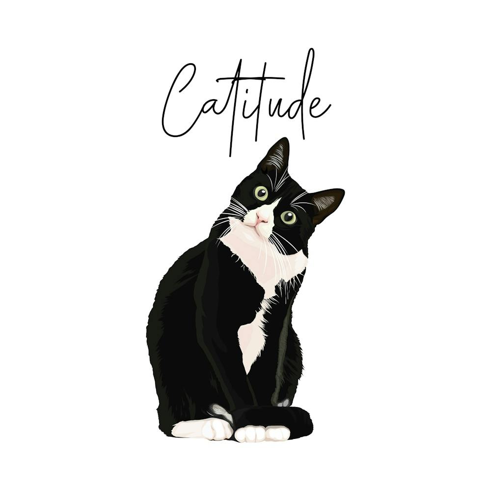 Catitude Cat Square