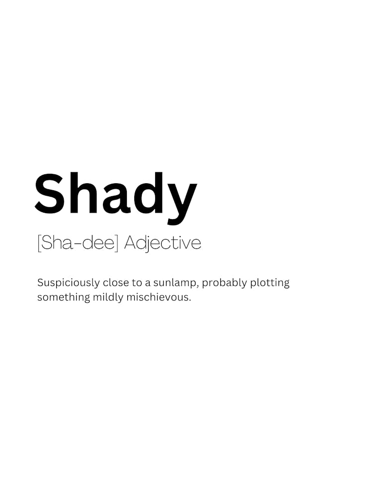 Shady Definition Meaning