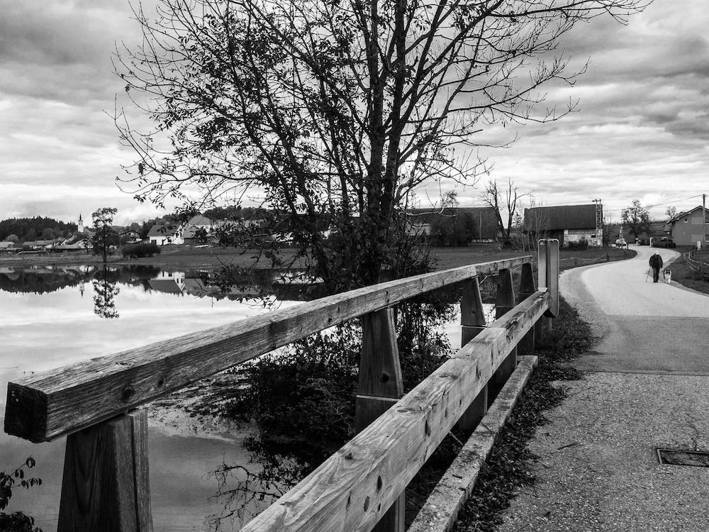 Waterreflections Near The Country Road