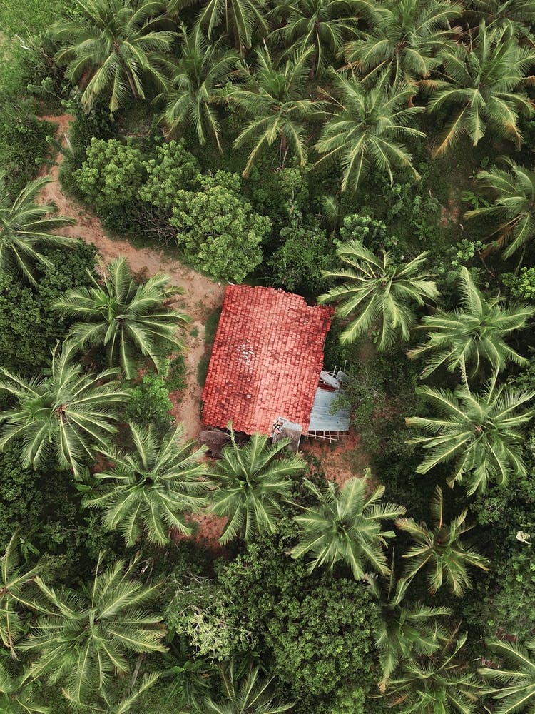 Sri Lanka Jungle House