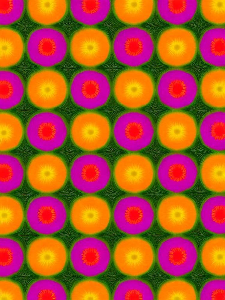 Cypress Andy Warhol Flower