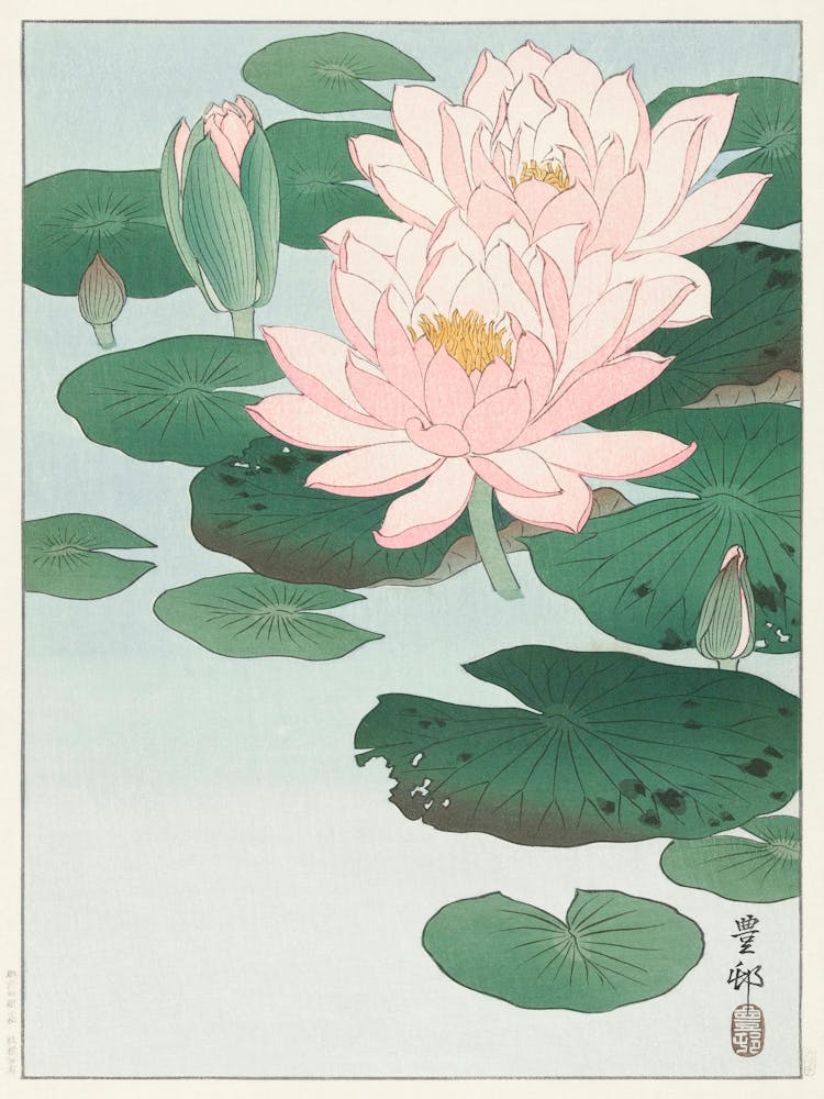 Water Lily (1920 1930), Ohara Koson