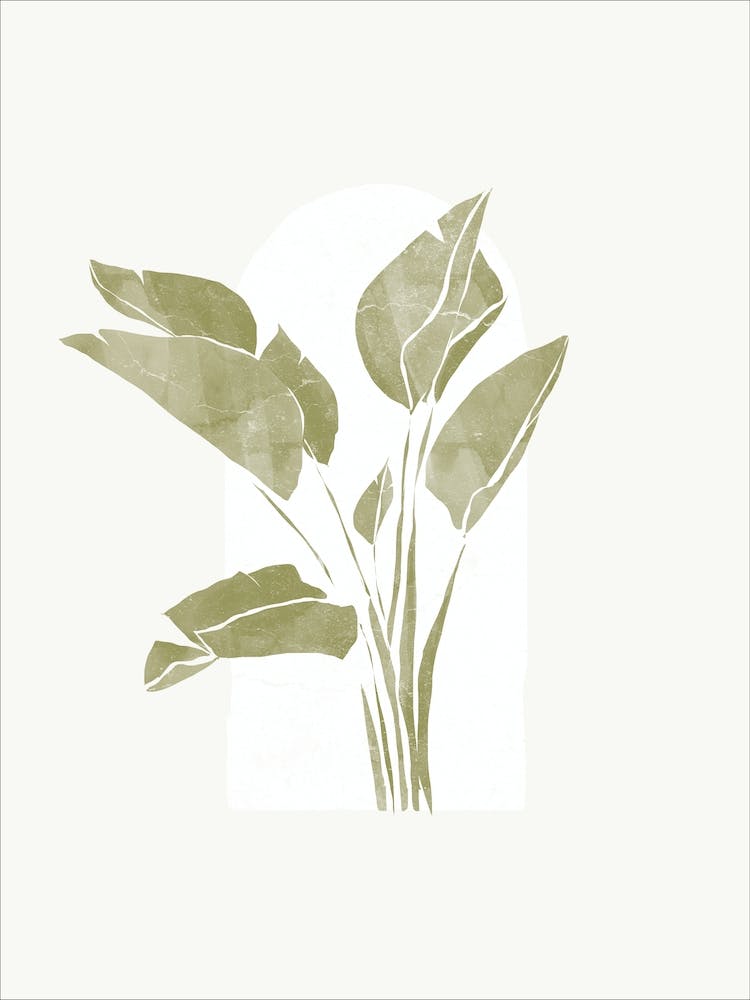 Fenêtre Tropicale II
