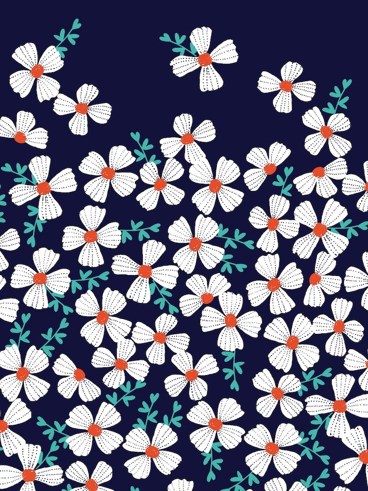 Navy Daisies