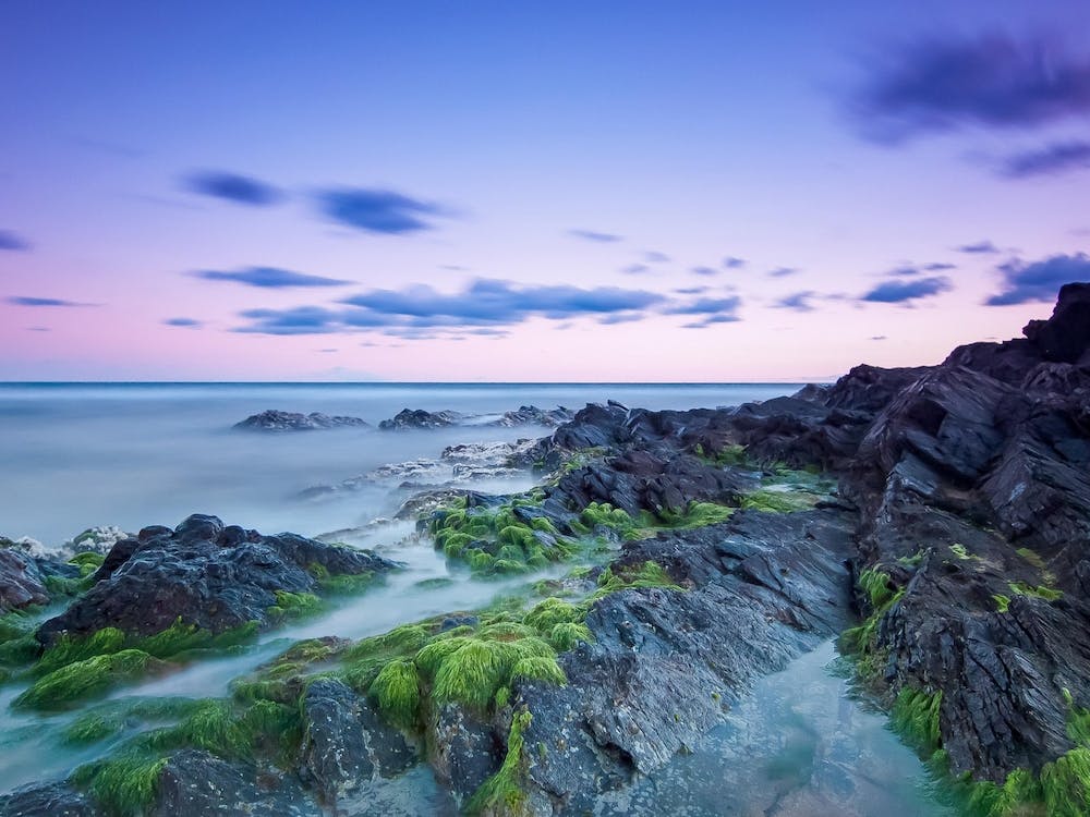 Rocky Shore At Dusk