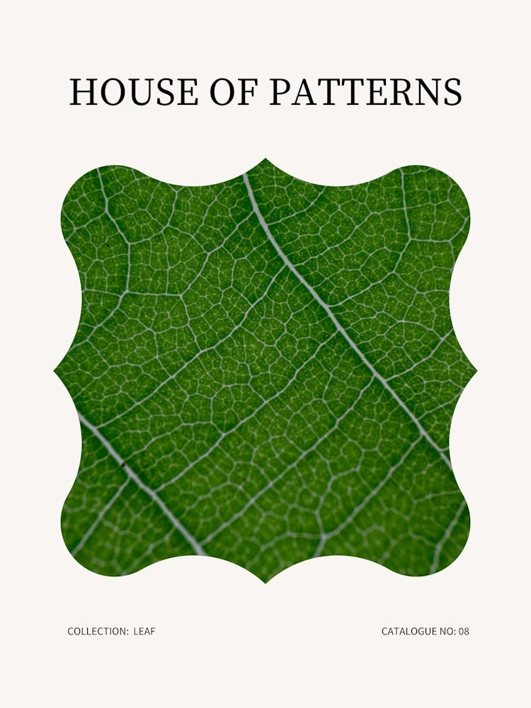 Leaf Pattern Poster 12