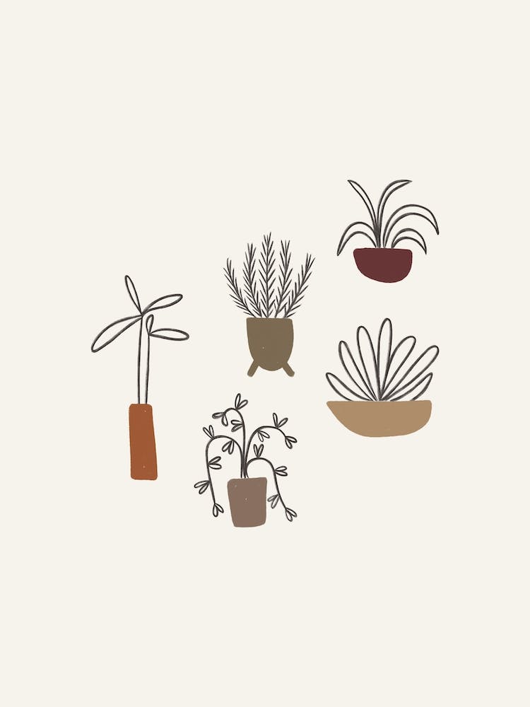 Plants And Pots 2
