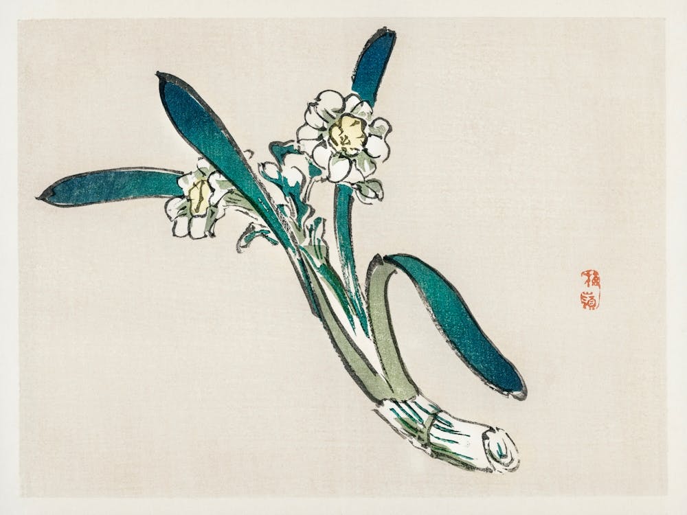 Bunchflower Daffodil, Kōno Bairei