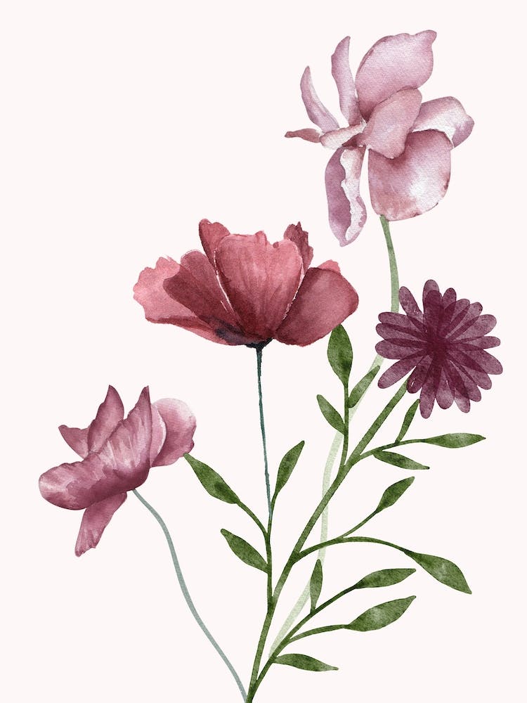 Watercolor Flowers