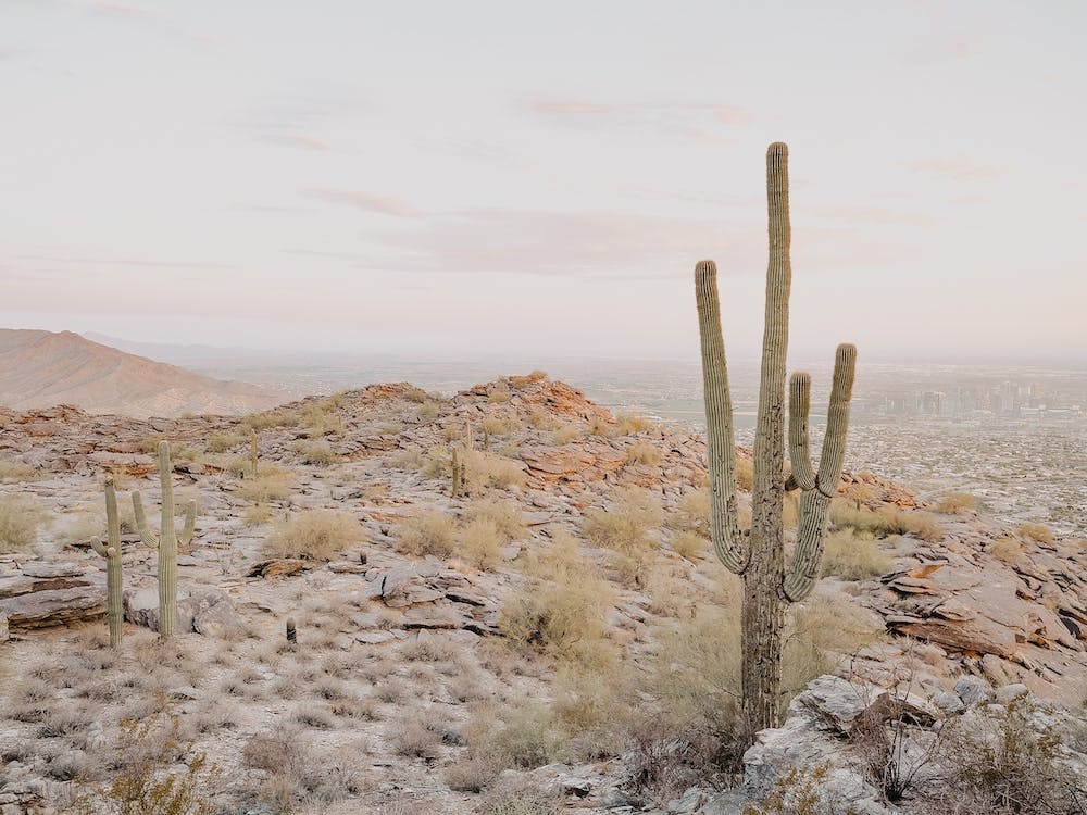 View Over Phoenix