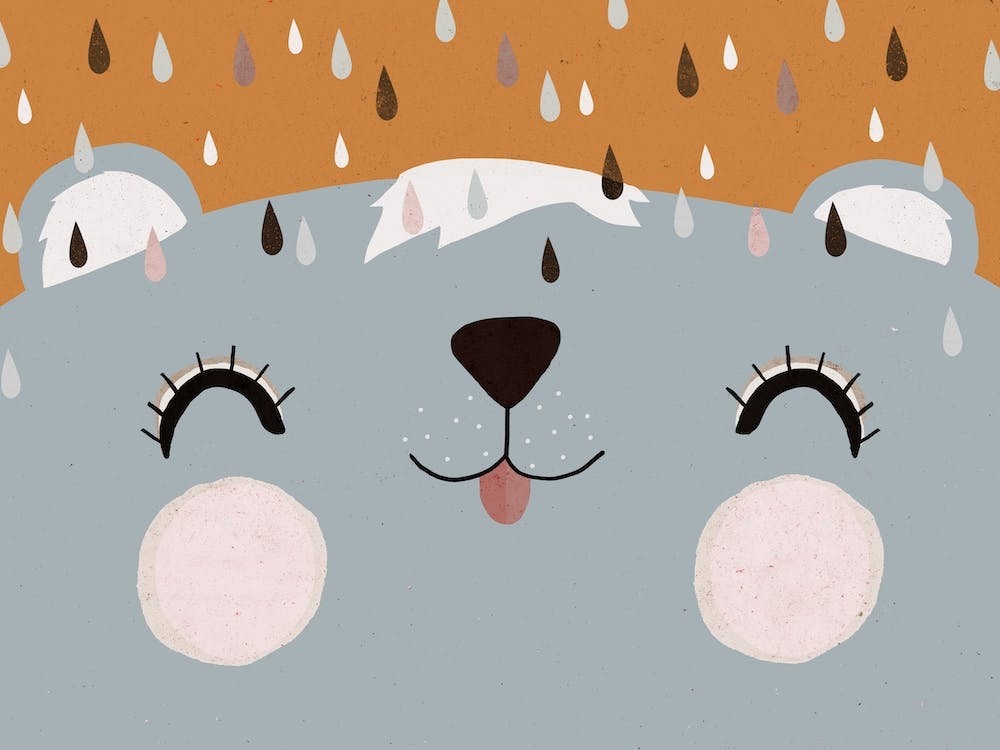 Happy Bear Blue