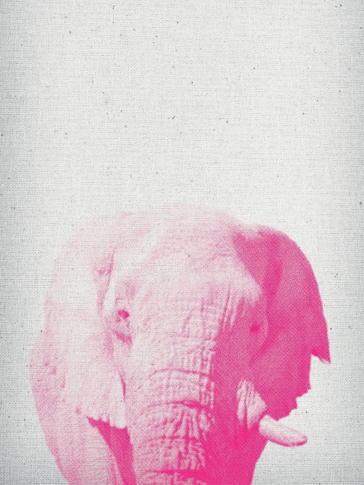 Elephant II