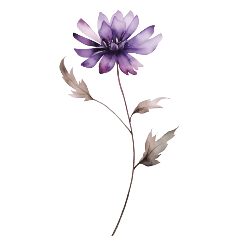 Purple Flower