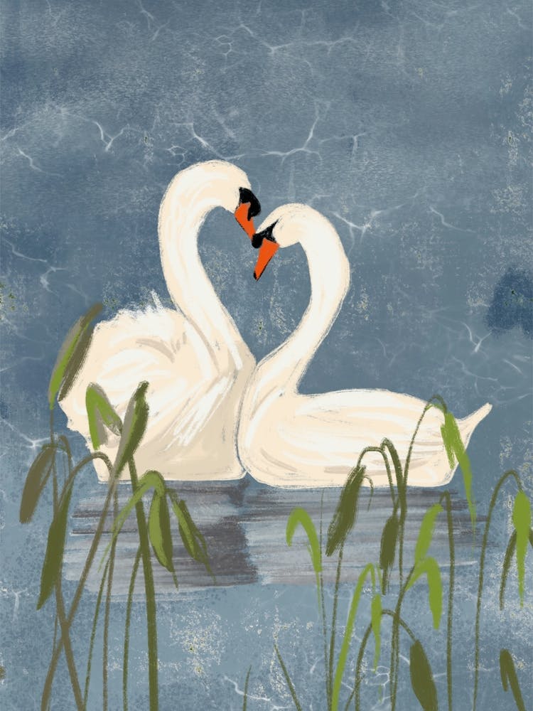 Swans In Love