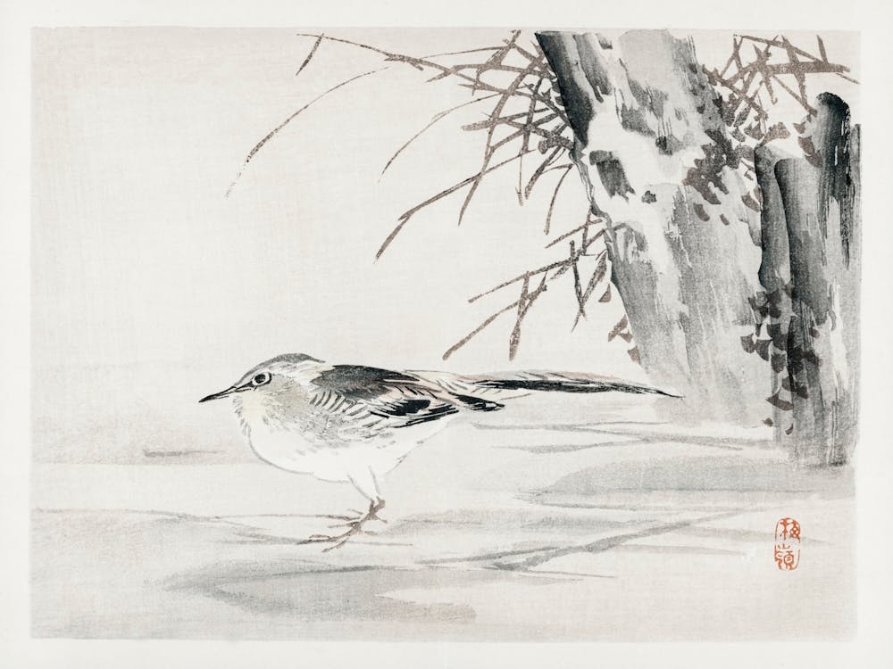 Spotted Sandpiper, Kōno Bairei