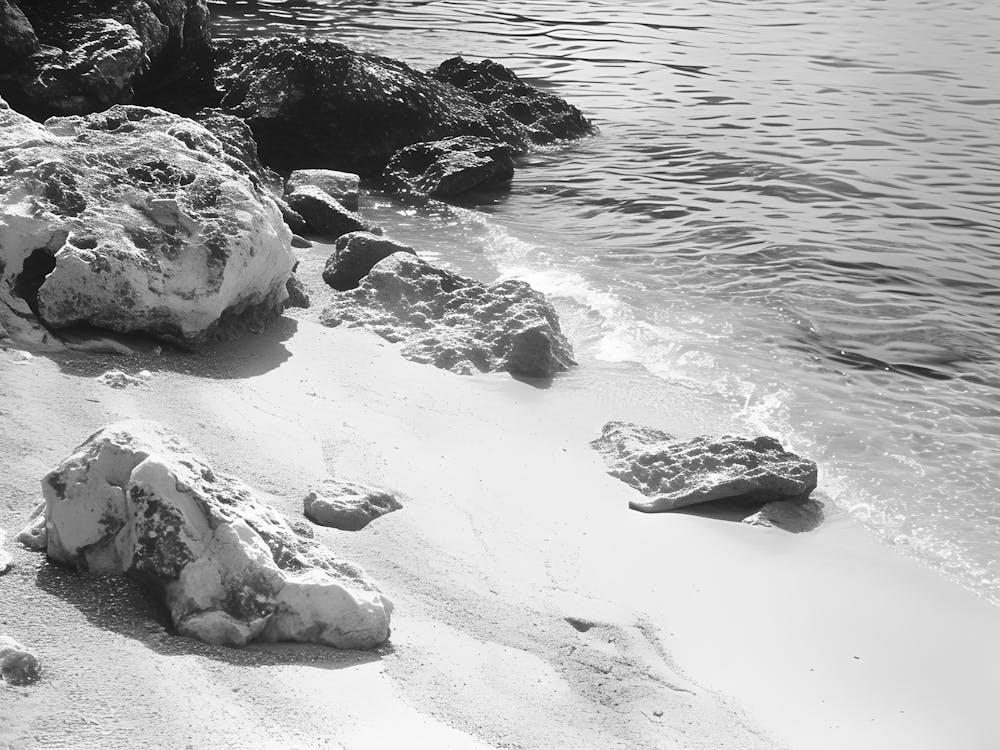 Rocks On The Beach
