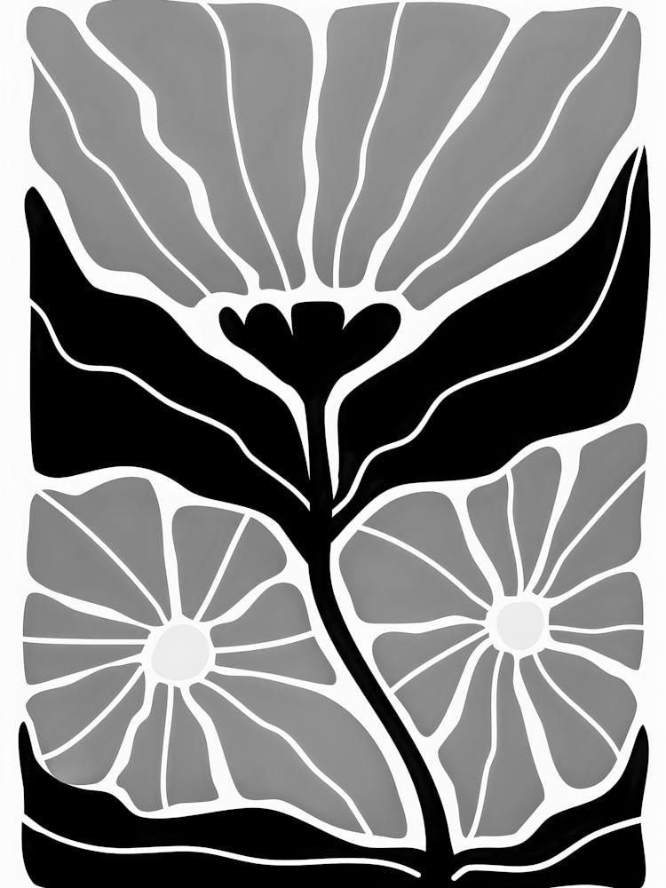 Black And White Flower 53