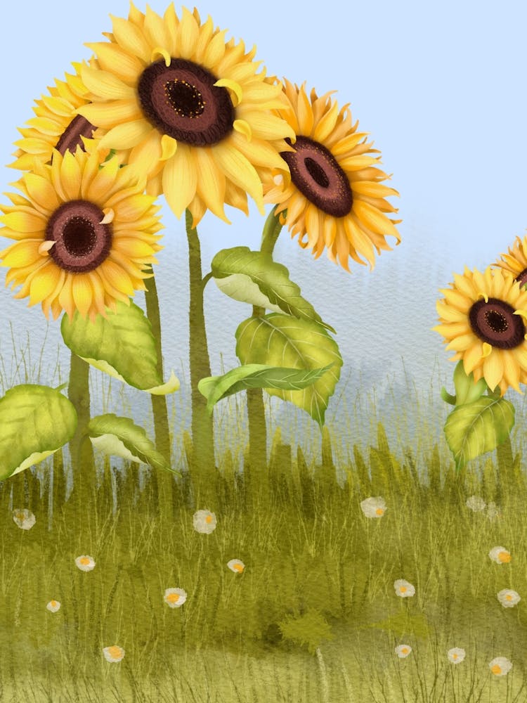 Sunflowers 6