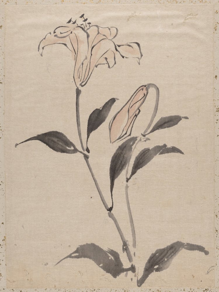 Flower, Album Of Sketches By Katsushika Hokusai And His Disciples, Katsushika Hokusai
