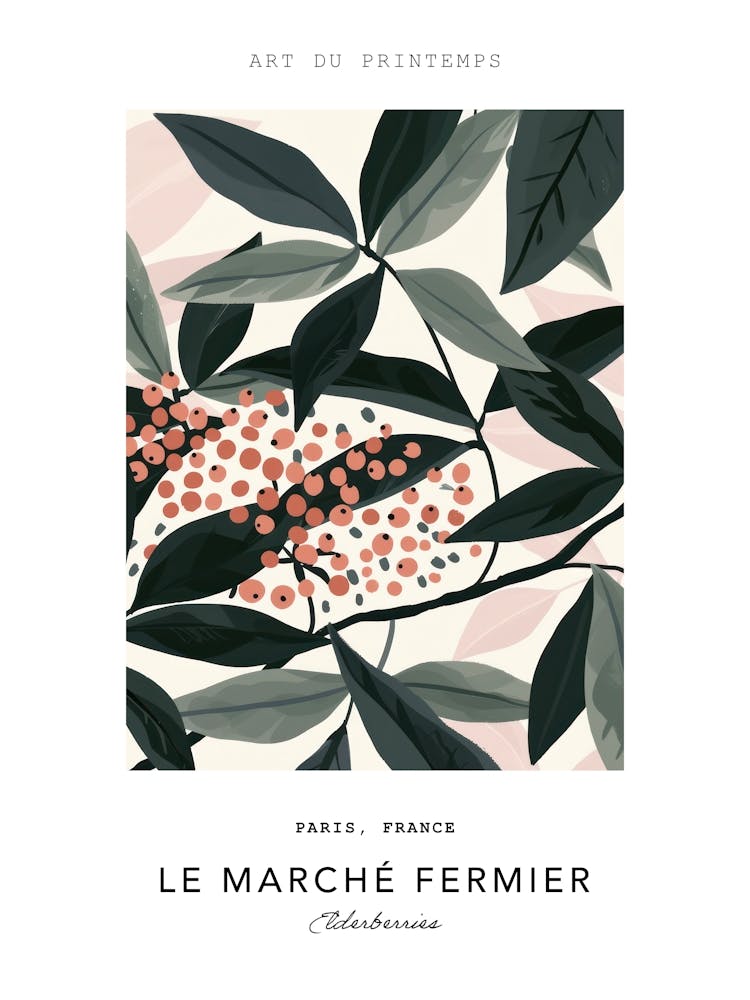 Elderberries Le Marche Fermier Poster 4