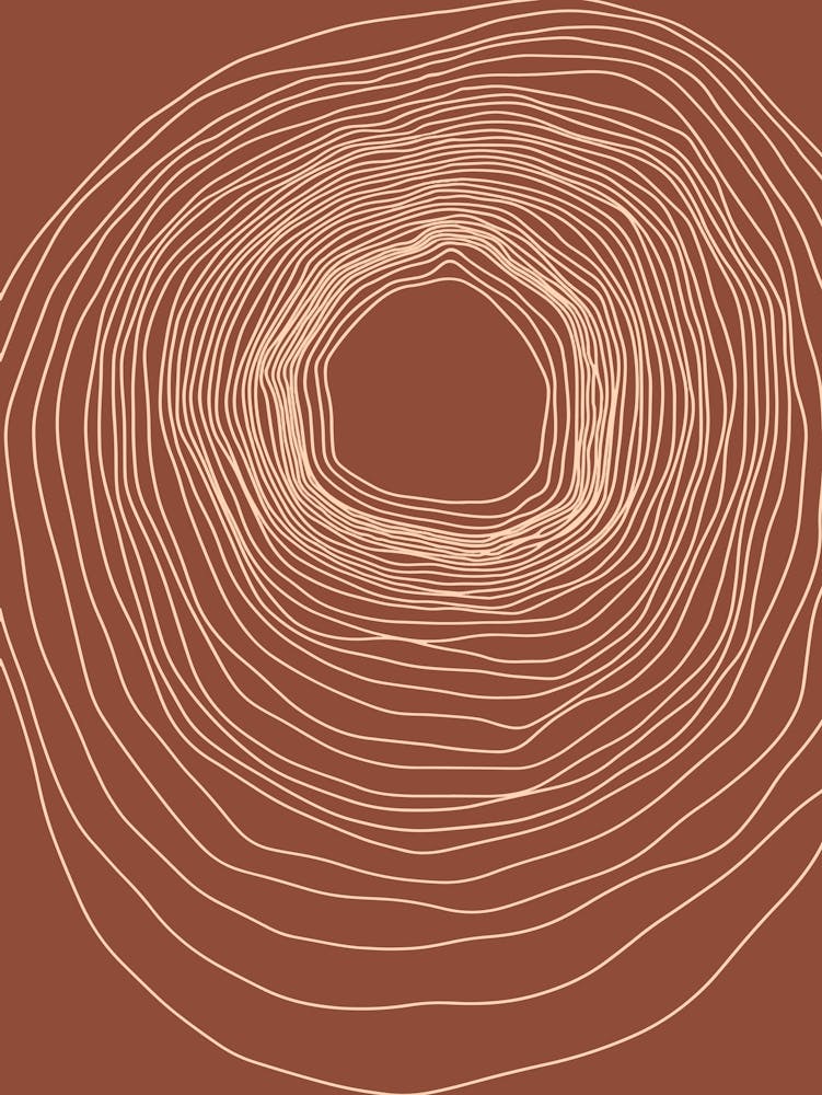 Circle Of Lines