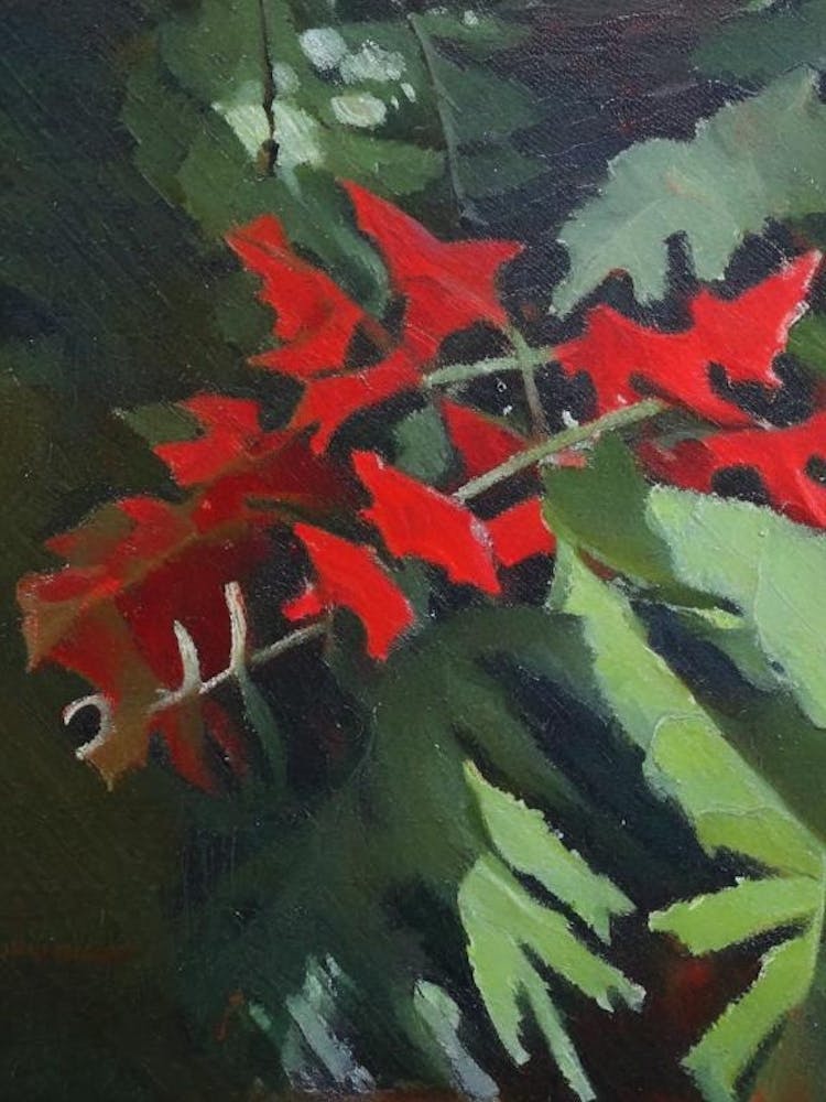 Fougère Houx Style Cézanne