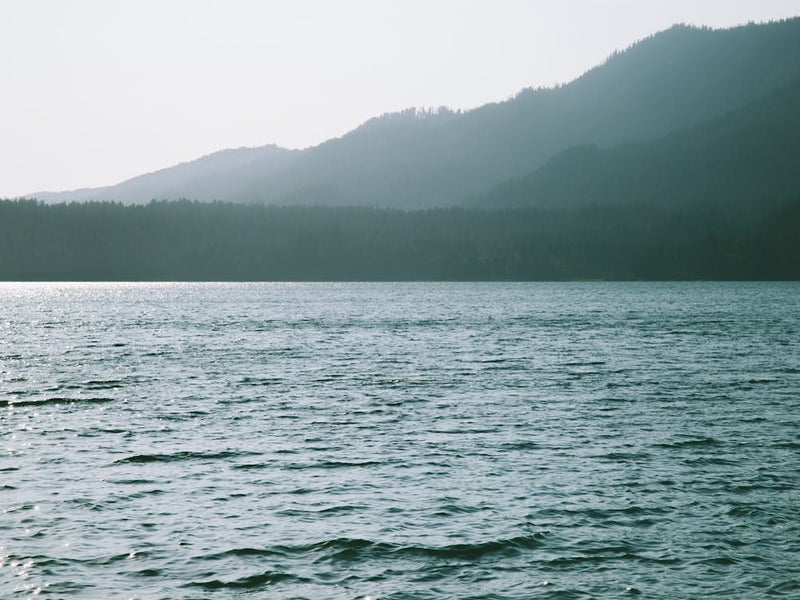 Summer Lake Days