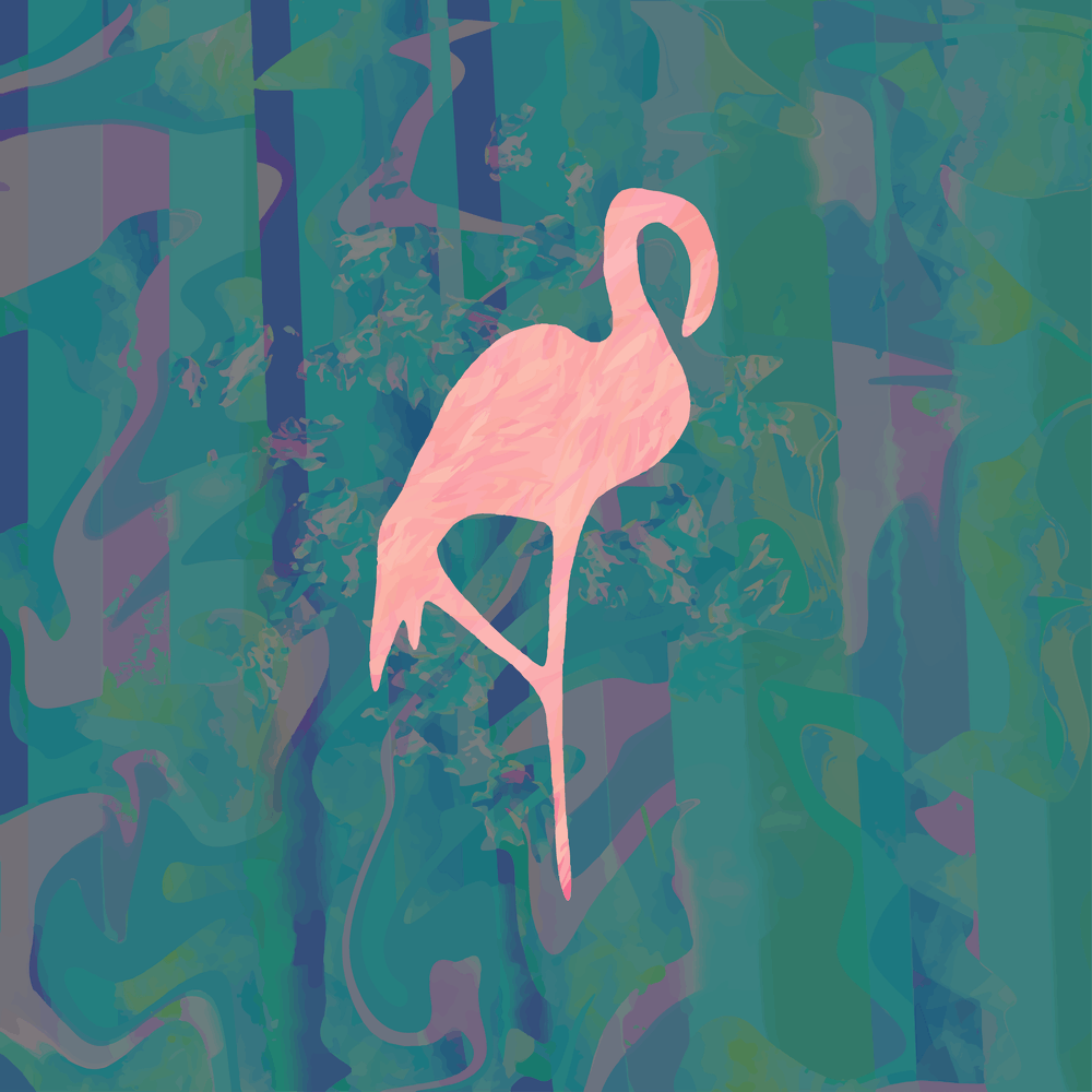 Flamingo of a Feather