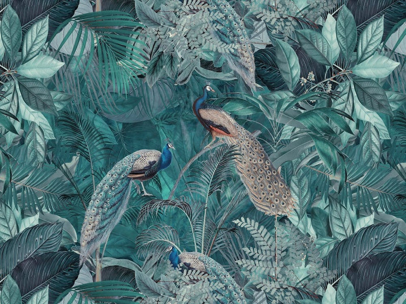 Peacock Paradise Jungle