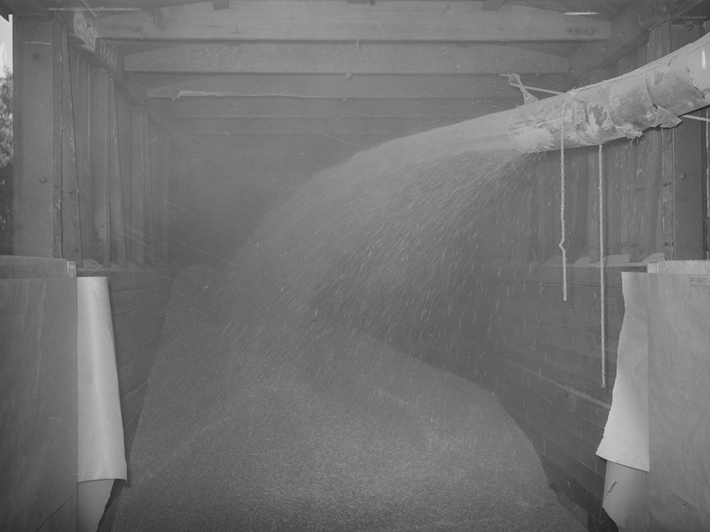 Bulk Wheat Being Blown Into Railroad Car For Shipment To Spokane, Walla Walla County, Washington By Russell Lee