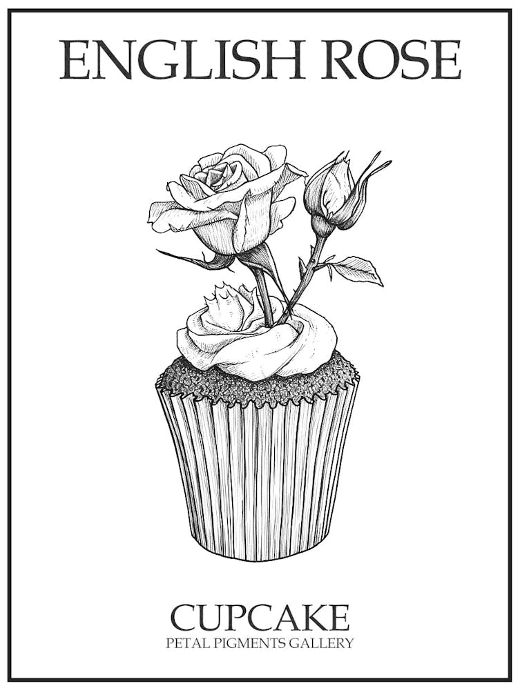 English Rose Cupcake Line Drawing 2 Poster