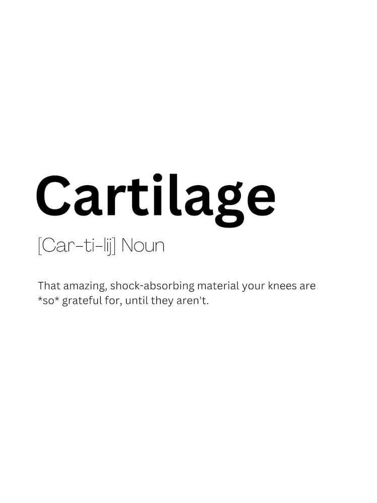 Cartilage Definition Meaning