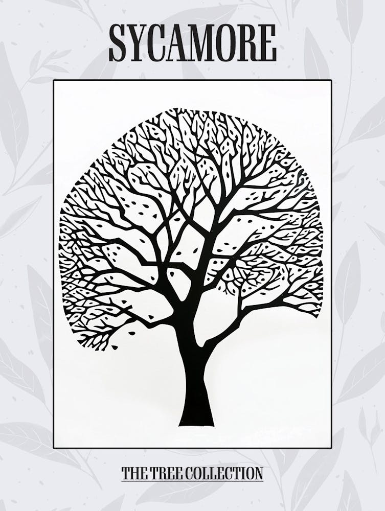 Sycamore Tree Simple Geometric Nature Stencil 21 Poster