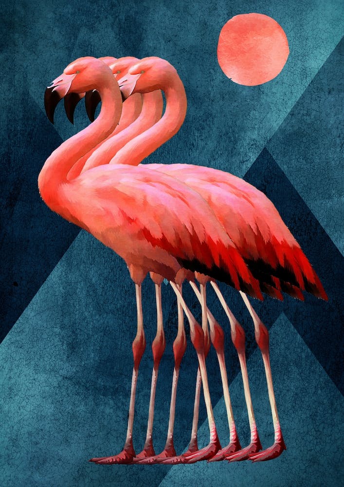 Four Flamingos At Midnight
