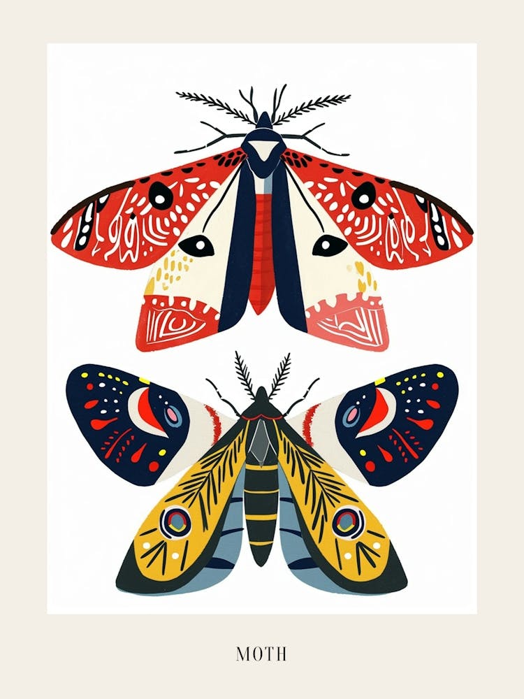 Farbenfrohe Insektenillustration Motte 30 Poster