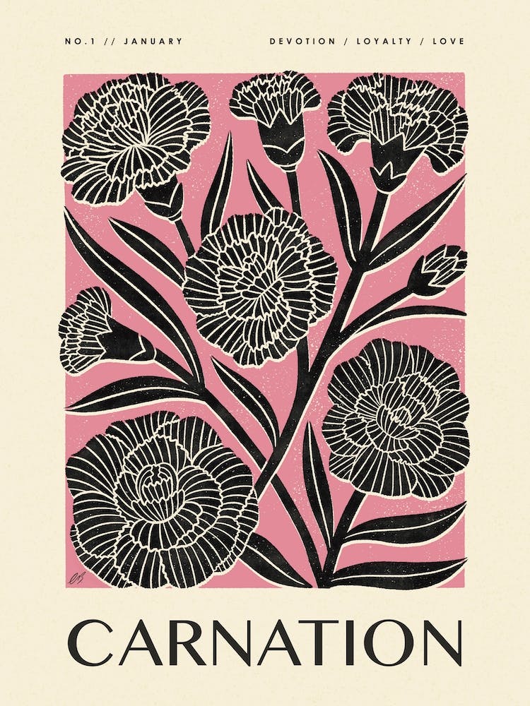 Rustic January Birth Flower Carnation Black Pink