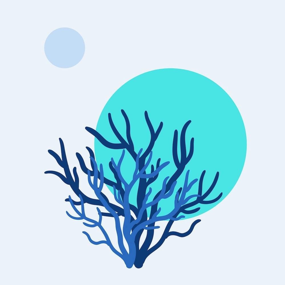 Coral Reef - Turquoise