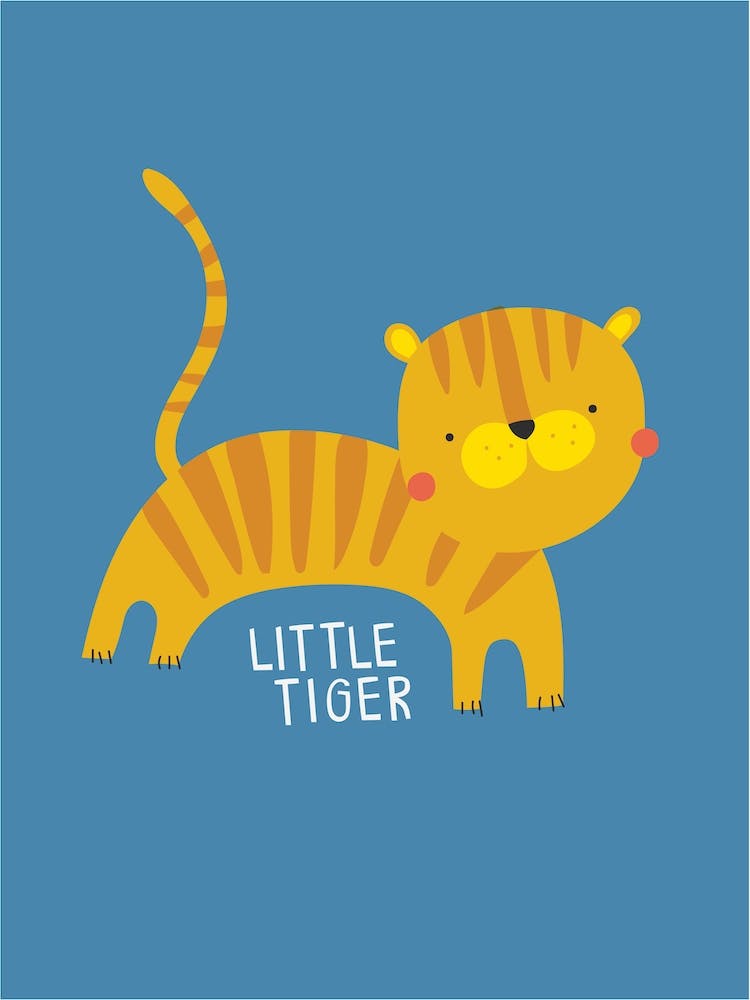Little Tiger