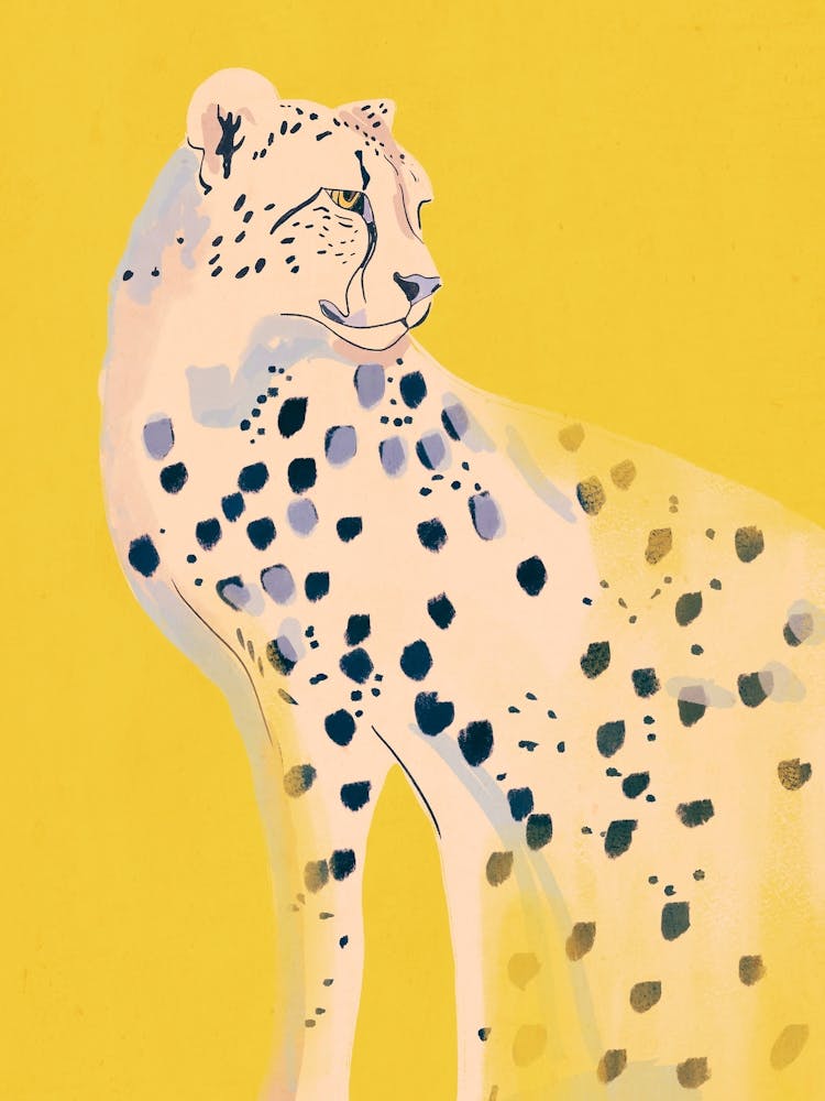 Guépard 15