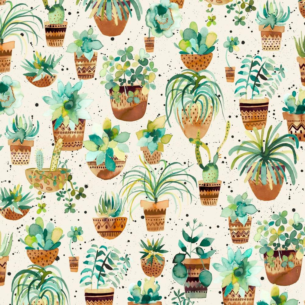 Home Succulent Plant Pots White Square