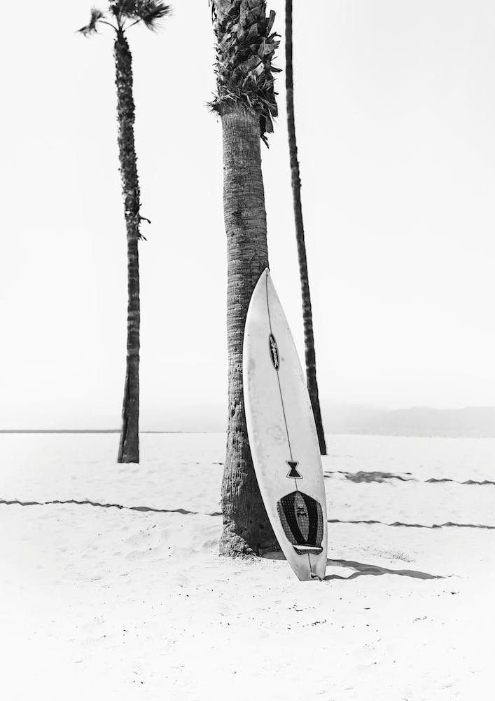 Surf Bw