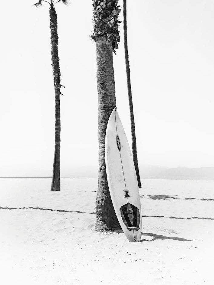 Surf Bw