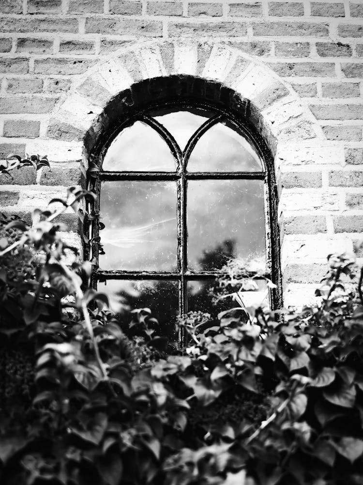 Hidden Window // Travel Photography