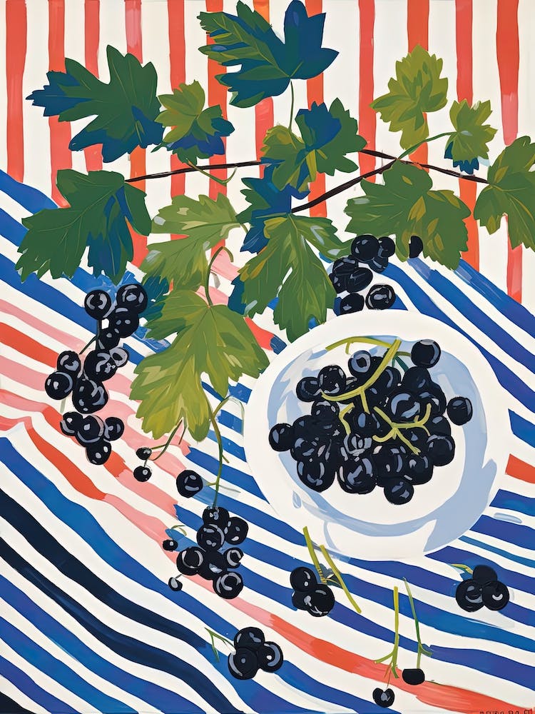 Blackcurrants Fruit Summer Illustration 2