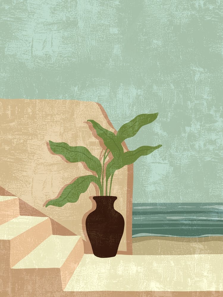 Potted Plant On Stairs