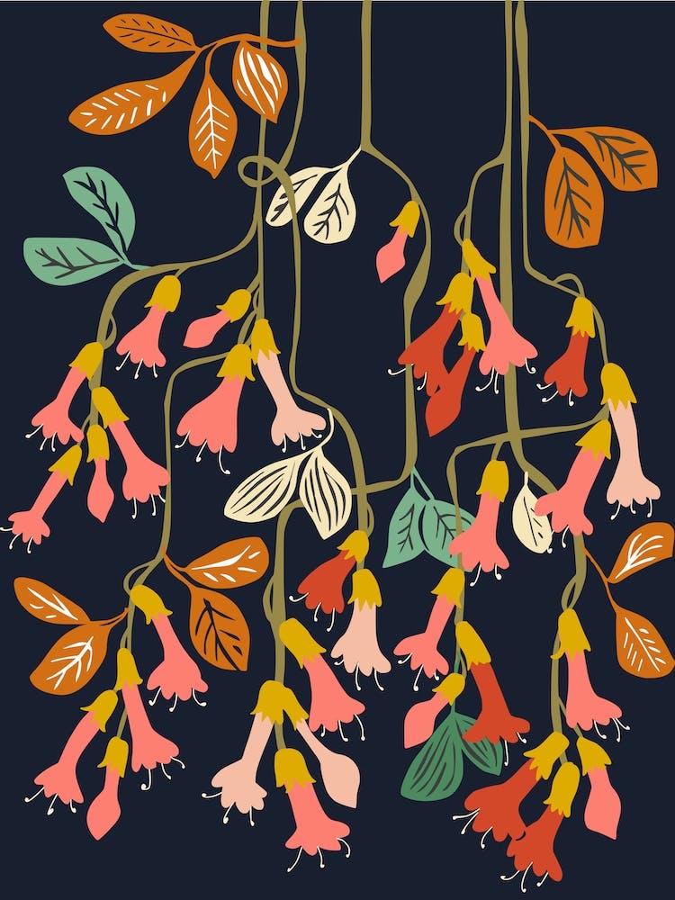 Flower Of Affection Modern Fuchsia